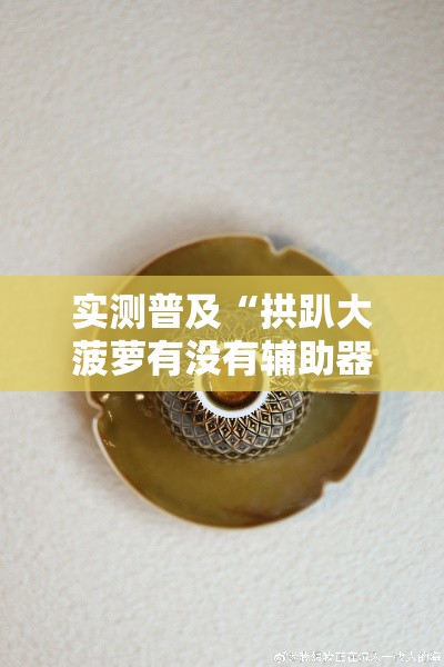 实测普及“拱趴大菠萝有没有辅助器”的确可以开挂