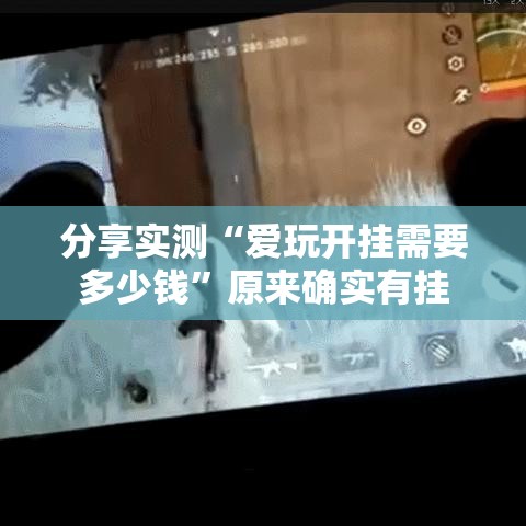 分享实测“爱玩开挂需要多少钱”原来确实有挂