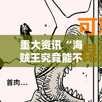 重大资讯“海贼王究竟能不能开挂”详细开挂步骤