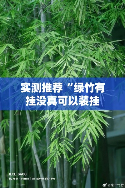 实测推荐“绿竹有挂没真可以装挂
