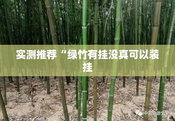 实测推荐“绿竹有挂没真可以装挂