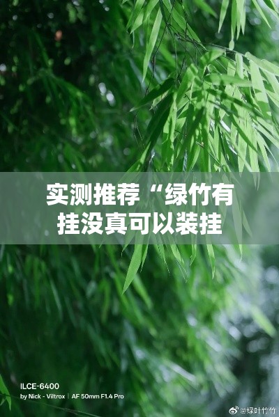 实测推荐“绿竹有挂没真可以装挂
