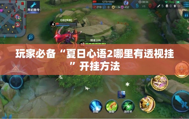 玩家必备“夏日心语2哪里有透视挂”开挂方法