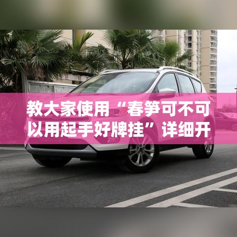 教大家使用“春笋可不可以用起手好牌挂	”详细开挂教材
