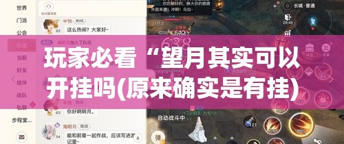 玩家必看“望月其实可以开挂吗(原来确实是有挂)
