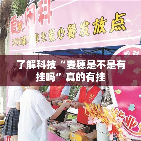了解科技“麦穗是不是有挂吗”真的有挂