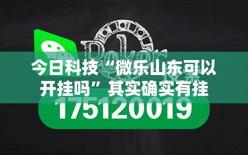 今日科技“微乐山东可以开挂吗”其实确实有挂