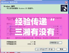 经验传递“三湘有没有辅助”(详细辅助脚本)