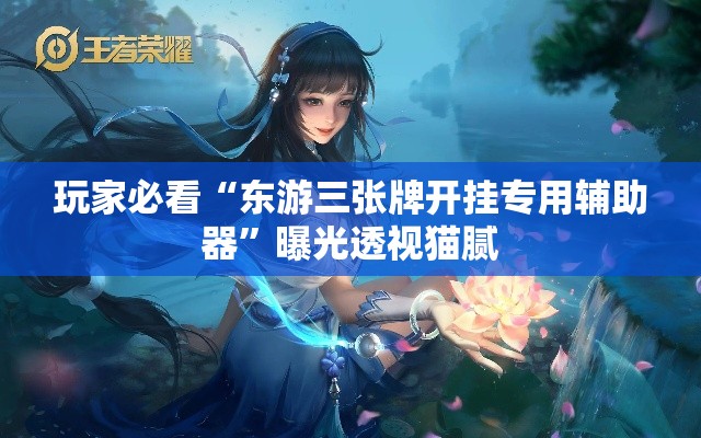 玩家必看“东游三张牌开挂专用辅助器”曝光透视猫腻