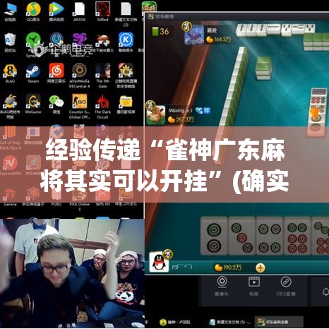 经验传递“雀神广东麻将其实可以开挂”(确实有挂)