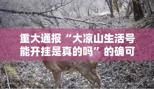 重大通报“大凉山生活号能开挂是真的吗”的确可以开挂
