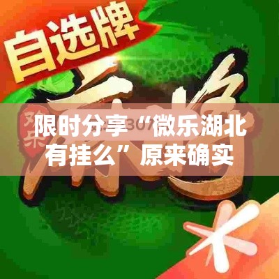 限时分享“微乐湖北有挂么”原来确实有挂
