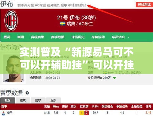 实测普及“新源易马可不可以开辅助挂”可以开挂教程
