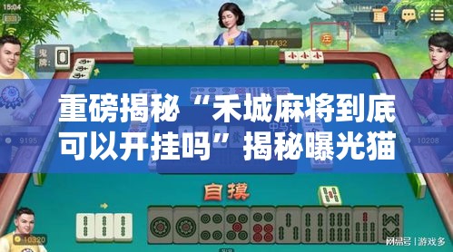 重磅揭秘“禾城麻将到底可以开挂吗	”揭秘曝光猫腻