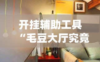 开挂辅助工具“毛豆大厅究竟能不能开挂”(确实有挂)