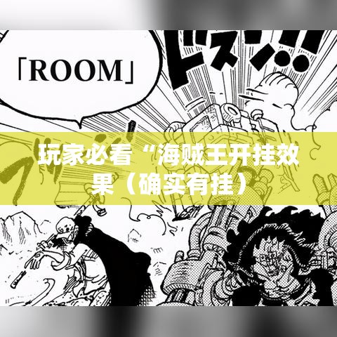 玩家必看“海贼王开挂效果（确实有挂）
