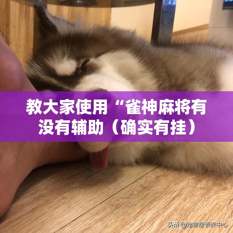 教大家使用“雀神麻将有没有辅助（确实有挂）