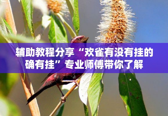 辅助教程分享“欢雀有没有挂的确有挂”专业师傅带你了解