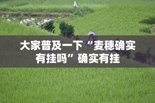 推荐一款“逸趣娱乐有规律吗	”开挂教学