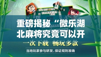 重磅揭秘“微乐湖北麻将究竟可以开挂吗”下载教程