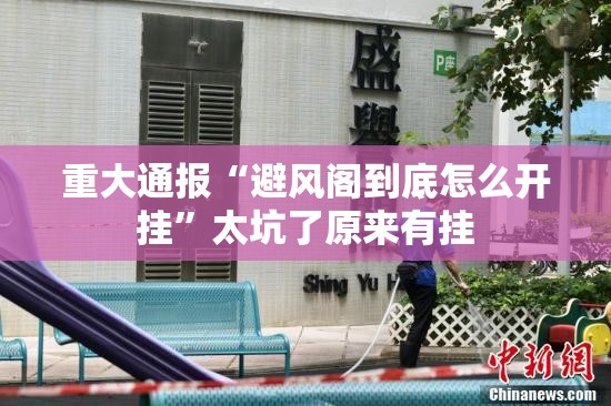 重大通报“避风阁到底怎么开挂”太坑了原来有挂