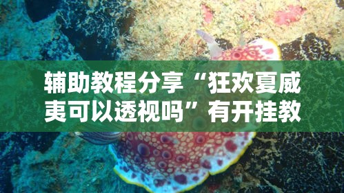 辅助教程分享“狂欢夏威夷可以透视吗”有开挂教程