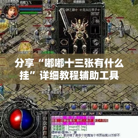 分享“嘟嘟十三张有什么挂”详细教程辅助工具