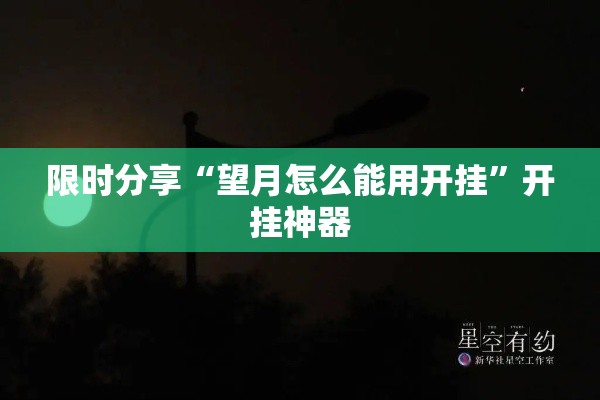 限时分享“望月怎么能用开挂	”开挂神器