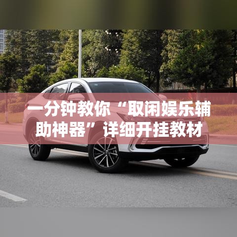 一分钟教你“取闲娱乐辅助神器”详细开挂教材