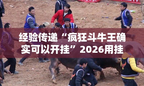 经验传递“疯狂斗牛王确实可以开挂”2026用挂