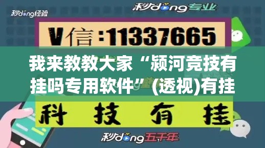 我来教教大家“颍河竞技有挂吗专用软件”(透视)有挂