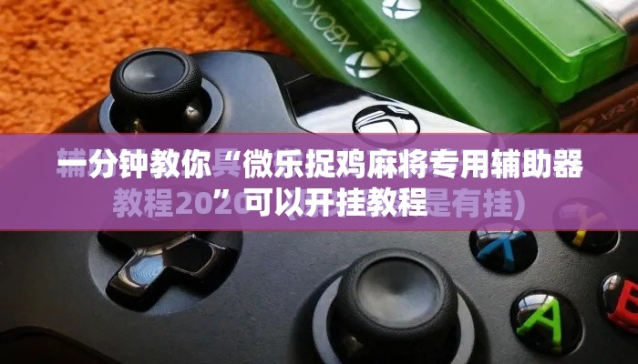 一分钟教你“微乐捉鸡麻将专用辅助器”可以开挂教程