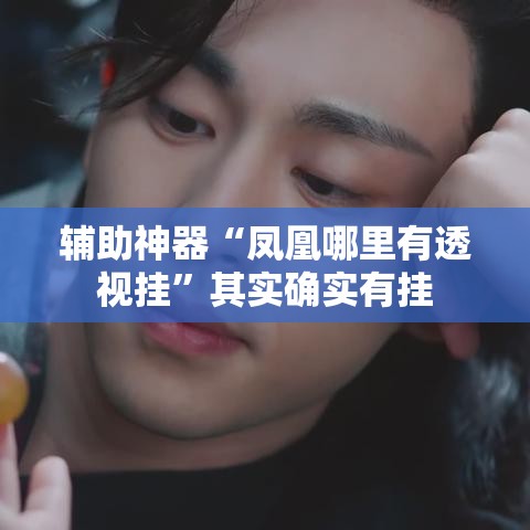 辅助神器“凤凰哪里有透视挂”其实确实有挂