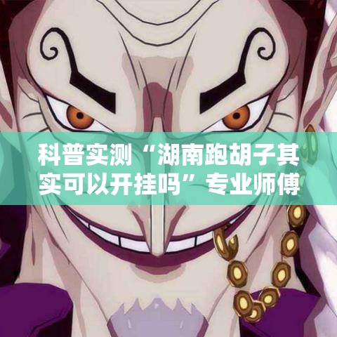 科普实测“湖南跑胡子其实可以开挂吗”专业师傅带你了解
