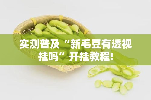实测普及“新毛豆有透视挂吗”开挂教程!