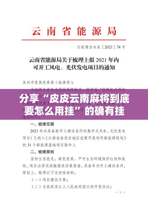 分享“皮皮云南麻将到底要怎么用挂”的确有挂
