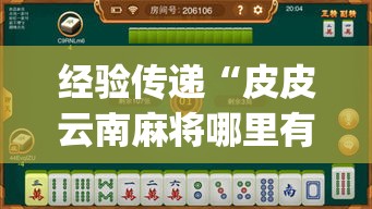经验传递“皮皮云南麻将哪里有透视挂(原来确实是有挂)
