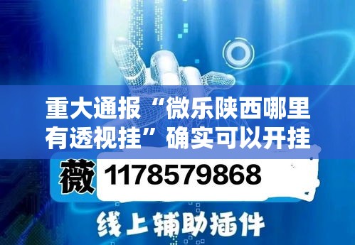 重大通报“微乐陕西哪里有透视挂”确实可以开挂