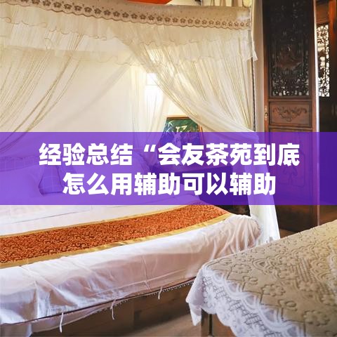 经验总结“会友茶苑到底怎么用辅助可以辅助