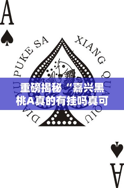 重磅揭秘“嘉兴黑桃A真的有挂吗真可以装挂