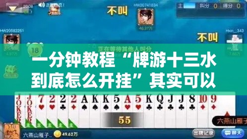 一分钟教程“牌游十三水到底怎么开挂	”其实可以装挂