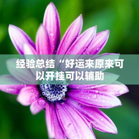 经验总结“好运来原来可以开挂可以辅助 经验总结“好运来原来可以开挂可以辅助