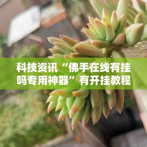 科技资讯“佛手在线有挂吗专用神器”有开挂教程