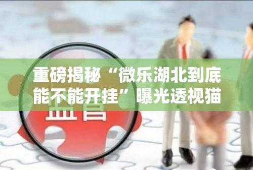 重磅揭秘“微乐湖北到底能不能开挂”曝光透视猫腻