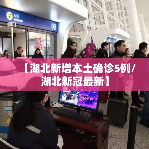 【湖北新增本土确诊5例/湖北新冠最新】