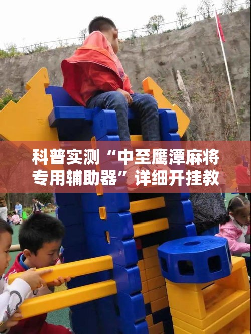 科普实测“中至鹰潭麻将专用辅助器”详细开挂教材