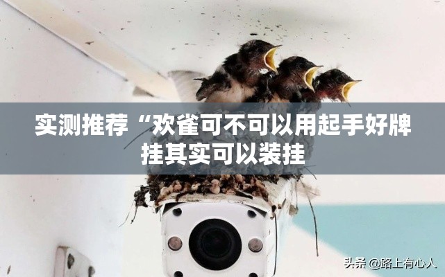 实测推荐“欢雀可不可以用起手好牌挂其实可以装挂
