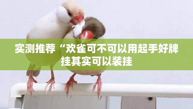 实测推荐“欢雀可不可以用起手好牌挂其实可以装挂