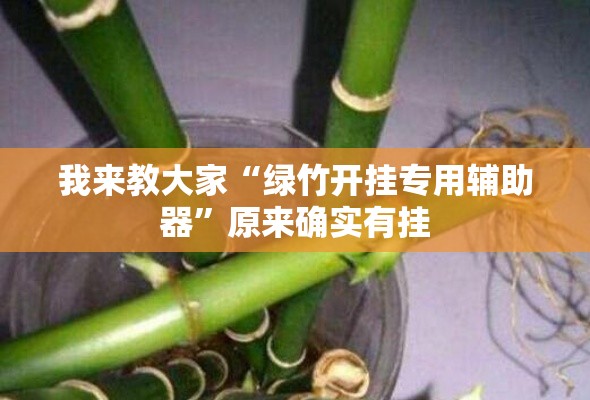我来教大家“绿竹开挂专用辅助器”原来确实有挂