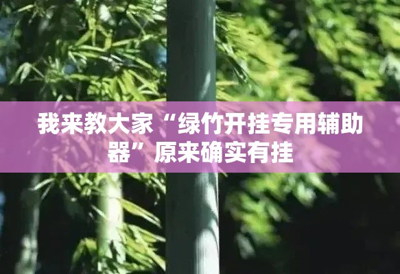 我来教大家“绿竹开挂专用辅助器”原来确实有挂